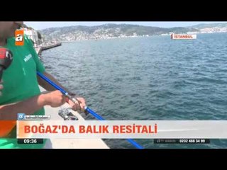 Boğaz'da balık resitali - atv Kahvaltı Haberleri