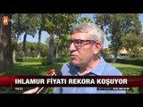 Ihlamurun fiyatı altınla yarışıyor - atv Ana Haber