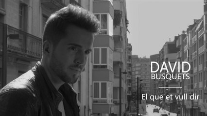 David Busquets - El que et vull dir