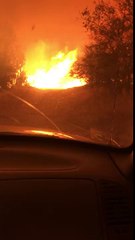 Deux hommes partent au dernier moment lors d’un incendie de forêt