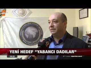 Dolandırıcılar dadılara dadandı - atv Ana Haber
