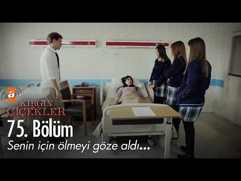Senin için ölmeyi göze aldı... - Kırgın Çiçekler 75. Bölüm - atv