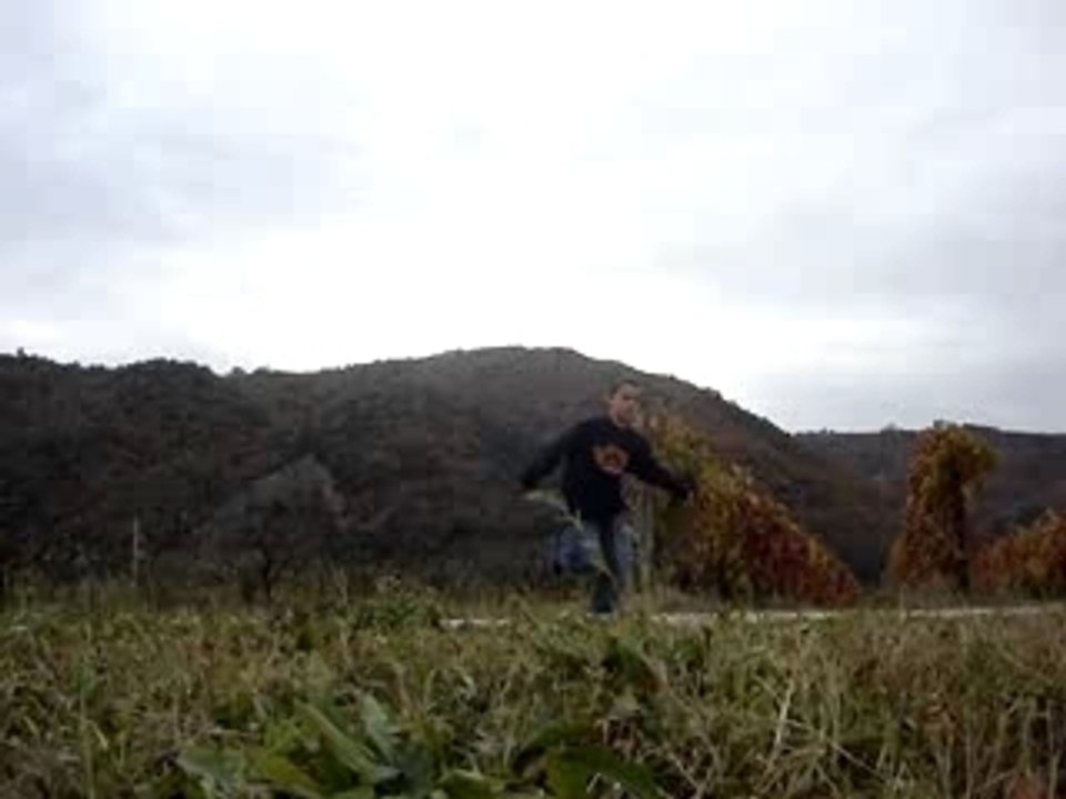 saut ds la terres