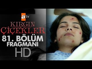 Kırgın Çiçekler 81. Bölüm Fragmanı - atv