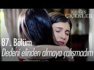 Dedeni elinden almaya çalışmadım! - Kırgın Çiçekler 87. Bölüm