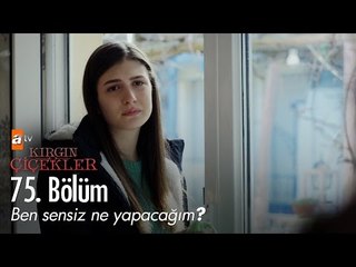 Ben sensiz ne yapacağım? - Kırgın Çiçekler 75. Bölüm - atv