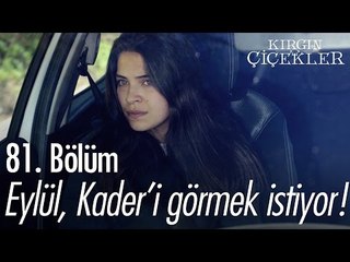 Eylül, Kader'i görmek istiyor! - Kırgın Çiçekler 81. Bölüm - atv