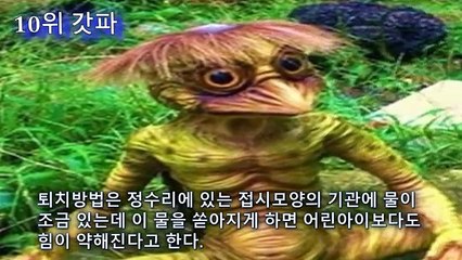 소름 돋는 일본 요괴 TOP 15 흥미진진! - 판달TV