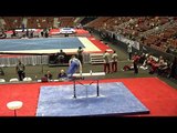 Liam Doherty-Herwitz - Pommel Horse - 2017 P&G Championships Junior Men Day 1