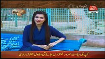 Khufia (Crime Show) On Abb Tak – 18th October 2017