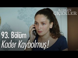 Kader kaybolmuş! - Kırgın Çiçekler 93. Bölüm