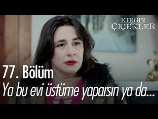 Ya bu evi üstüme yaparsın ya da... - Kırgın Çiçekler 77. Bölüm - atv