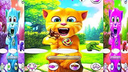 Animation Video For Children Talking Ginger and Talking Tom Finger Family Song Nursery Rhymes