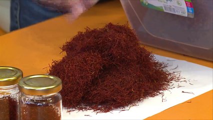 هذا الصباح-صفران بولو... مدينة الزعفران التركية