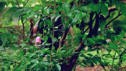 Water bottle | Latest Malayalam Short Film