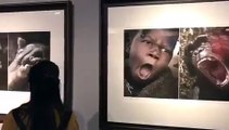 En Chine, une exposition raciste compare des africains à des animaux sauvages