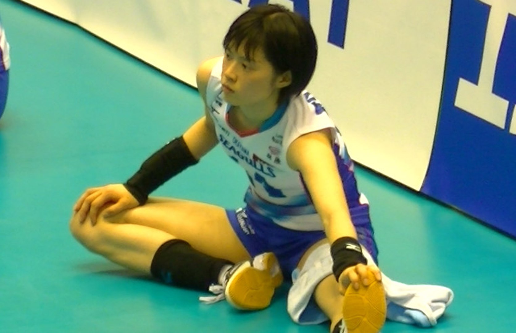 岡山シーガルズ 試合後のストレッチの様子 Vﾌﾟﾚﾐｱﾘｰｸﾞ開幕戦 15 10 17東京体育館 動画 Dailymotion
