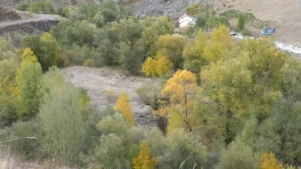 Kars'ta Sonbahar'da Renk Cümbüşü