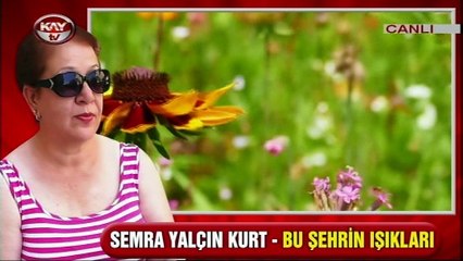14 EKİM 2017 BU ŞEHRİN IŞIKLARI ŞİİR DÜNYAMIZ ( SEMRA YALÇIN KURT)