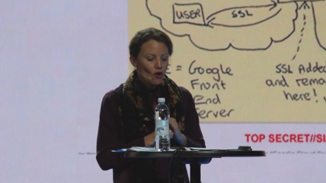 WikiLeaks legal researcher Sarah Harrison talks about mass surveillance
