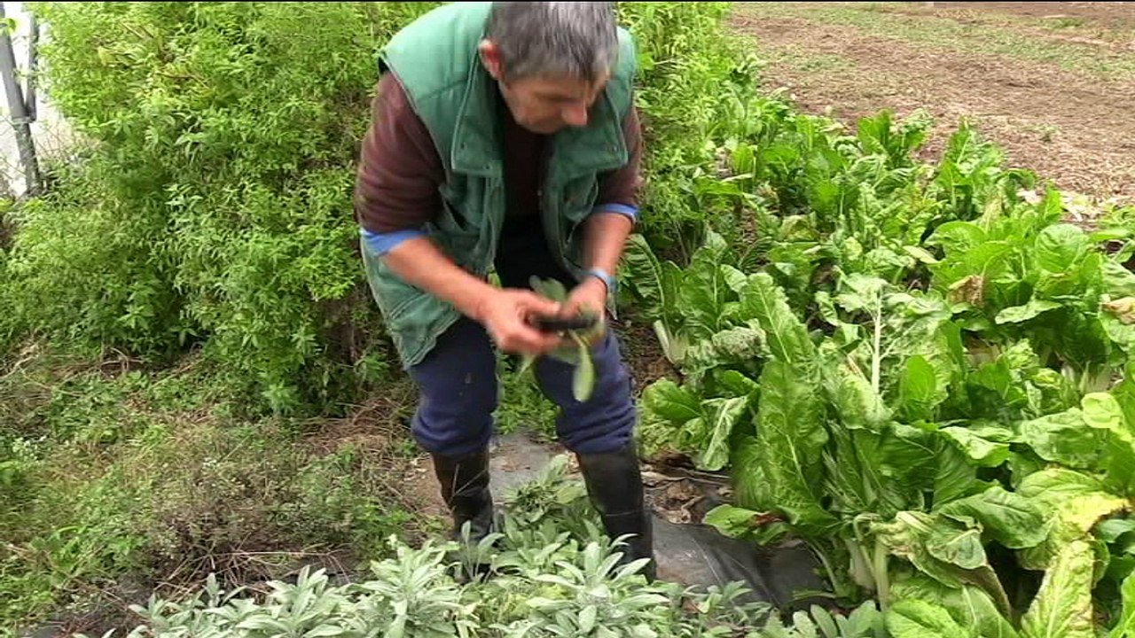 Ma thèse au Cerema: B. Metayer "Circuits courts alimentaires : vers des organisations logistiques plus durables"