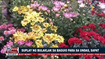 Suplay ng bulaklak sa Baguio para sa #Undas2017, sapat