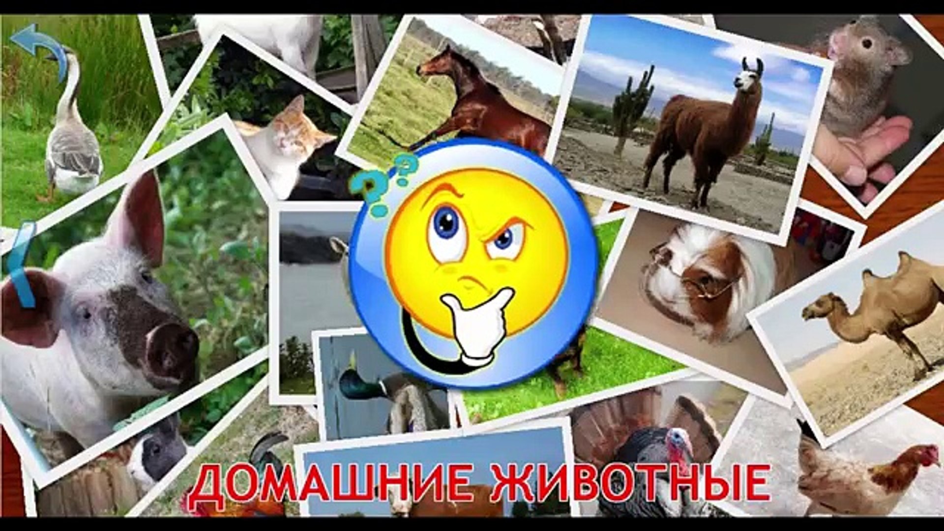 ⁣Домашние животные. Изучаем домашних животных. Звуки животных развивающий мультик