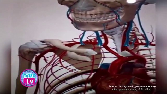 trò điên rồ khiến người chơi có thể chết não