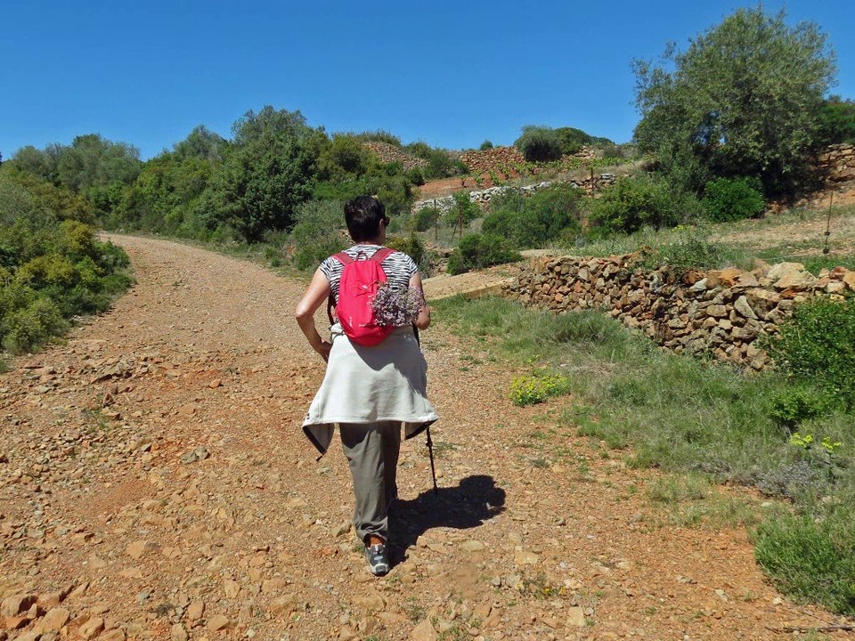 LE SENTIER DE LA ROCHE INSOLITE depuis Opoul-Périllos