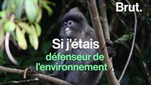 Si j'étais défenseur de l'environnement dans l'un de ces pays...