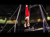 Kenzo Seryu - Still Rings Finals - 2012 Kellogg's Pacific Rim Championships