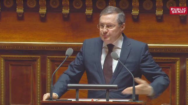 Loi antiterroriste : pas sûr qu'elle soit validée par le Conseil constitutionnel Philippe Bas