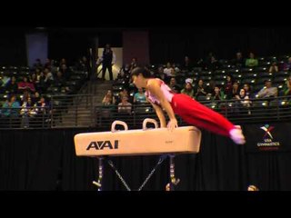 Koji Nonomura - Pommel Horse - 2012 Kellogg's Pacific Rim Championships