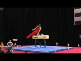 Robert Neff  - Pommel Horse -- 2012 Visa Championships -- Jr. Men -- Day 1