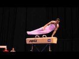 Colin Van Wicklen -- Pommel Horse -- 2012 Visa Championships -- Jr. Men -- Day 2