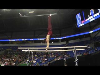 Ryan Lieberman -- Parallel Bars -- 2012 Visa Championships -- Sr. Men -- Day 1