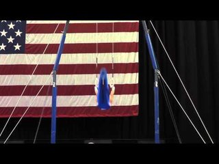 Brandon Wynn -- Rings -- 2012 Visa Championships -- Sr. Men -- Day 1