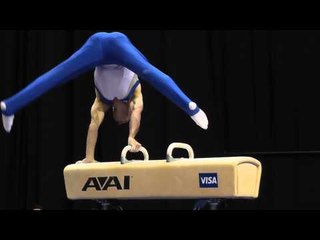 R.J. Heflin - Pommel Horse - 2012 Visa Championships - Sr. Men - Day 1