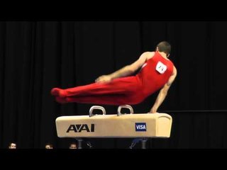 Eric Schryver - Pommel Horse - 2012 Visa Championships - Sr. Men - Day 1