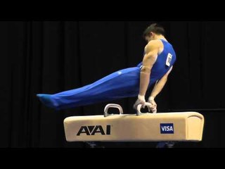 Chris Brooks - Pommel Horse - 2012 Visa Championships - Sr. Men - Day 1