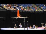 Paul Ruggeri - Parallel Bars - 2012 Visa Championships - Sr Men - Day 2