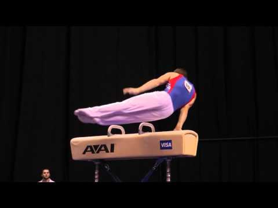 Dylan Ellsworth -- Pommel Horse -- 2012 Visa Championships -- Jr. Men -- Day 2