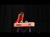 Robert Neff -- Pommel Horse -- 2012 Visa Championships -- Jr. Men -- Day 2