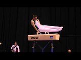 Andrew Rickly -- Pommel Horse -- 2012 Visa Championships -- Jr. Men -- Day 2
