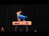 Austin Hodges -- Pommel Horse -- 2012 Visa Championships -- Jr. Men -- Day 2