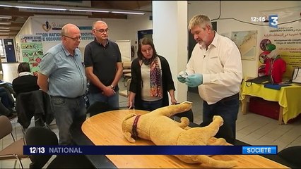 Animaux : bientôt des formations pour apprendre les premiers secours