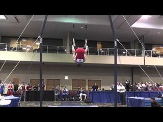 Michael Squires - Still Rings -- 2014 Winter Cup Prelims