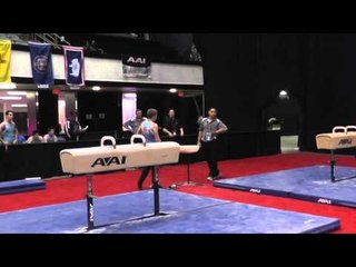 Matthew Wenske - Pommel Horse - 2014 Men's Junior Olympic National Championships