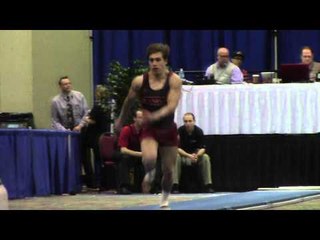 Taylor Seaton - Vault  - 2014 Winter Cup Prelims