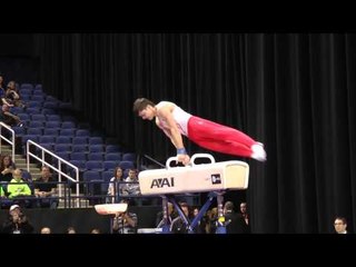 Andrey Likhovitskiy - Pommel Horse - 2014 AT&T American Cup
